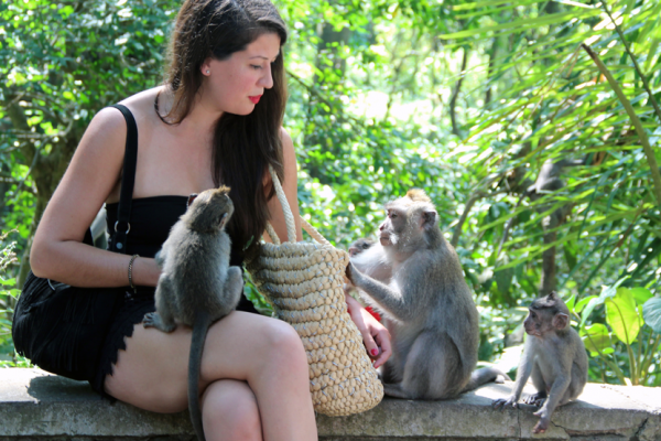 Monkey Forest Ubud: what to expect